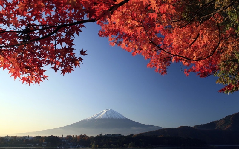 mountain, landscape, tranquil scene, tree, leaves, volcano, outdoors, non-urban scene, nature, fall, Mount Fuji, beauty in nature, mountains, mountain peak