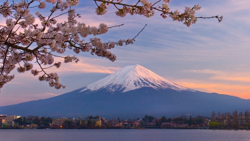tree, no people, fuji, nature, plant, sky, branch, travel destinations, cold temperature, building exterior, mountain, cherry blossom, snowcapped mountain