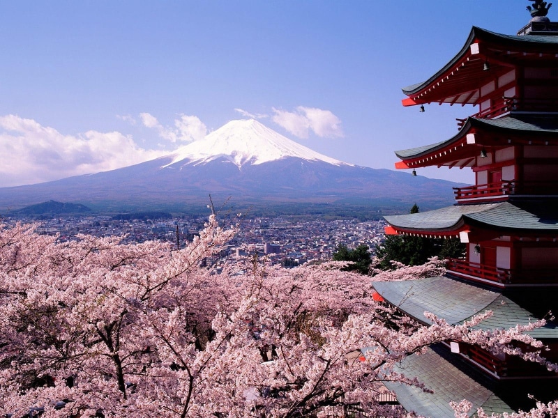 city, 720P, fuji, cherry, blossoms, architecture, mount, mount fuji, cherry blossoms, japan
