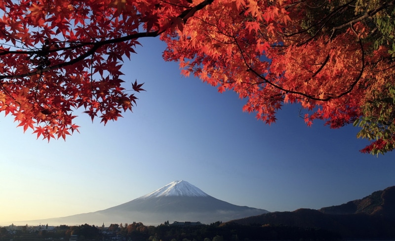 landscape, Nature, beauty in nature, tree, Japan, japanese maple, scenics - nature, mountain peak, environment, change, tranquil scene, Travel, land, Asia