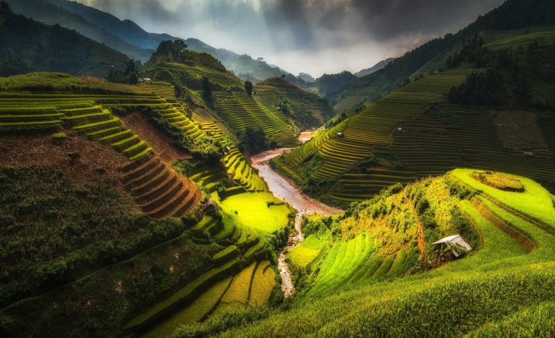 scenics - nature, environment, clouds, rural scene, nature, landscape, no people, Rice Terrace, terrace, green color, plantation, rice - cereal plant, agriculture