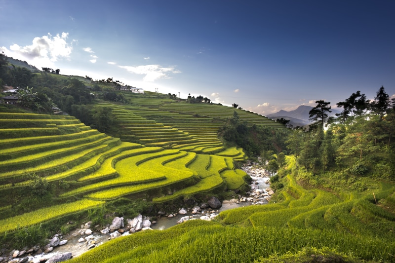 5K, rice field, nation, rice paddy, daytime, social issues, travel, natural, sky, valley, environment, rice, the cultivation, gardening, rice - cereal plant