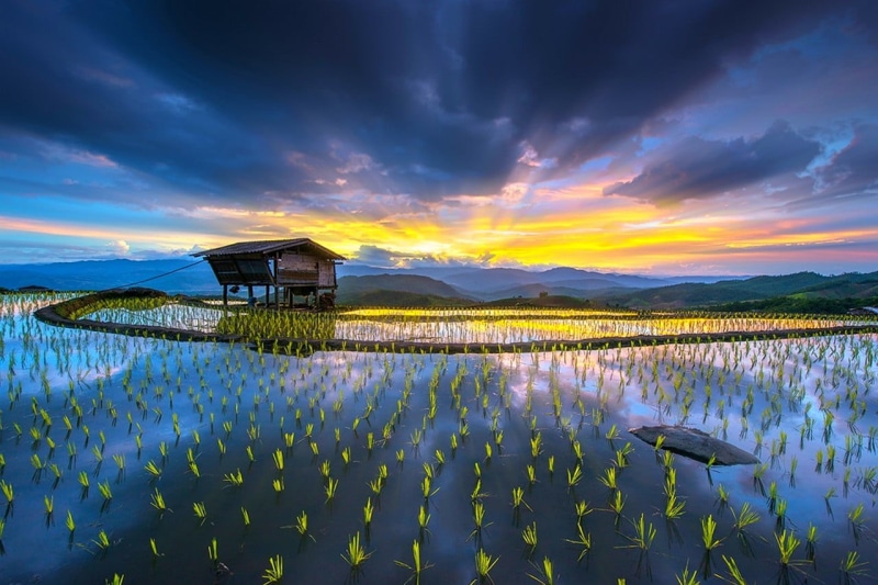 terraces, no people, scenics - nature, tranquil scene, sun rays, clouds, brown, blue, house, agriculture, reflection, photography, water, lake, hut, built structure