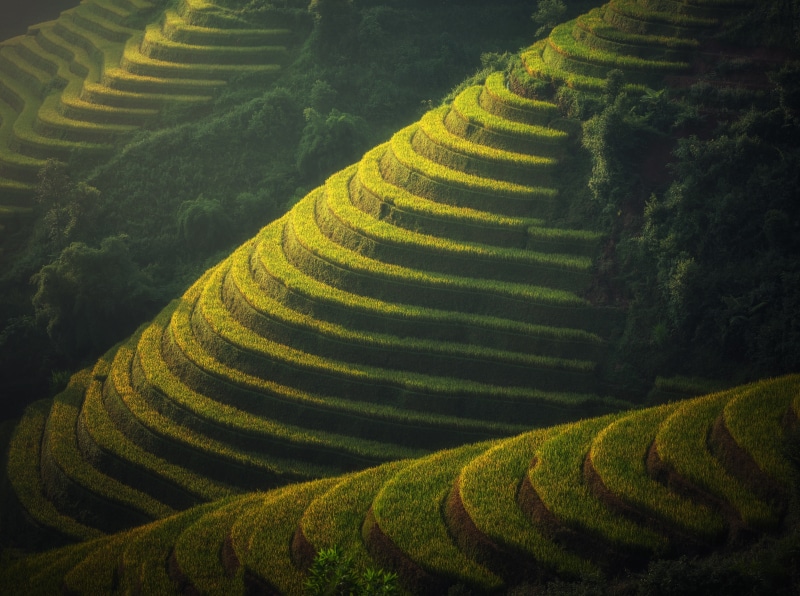ecology, rice terraces, Cultivation, plantation, Landscape, Tropical, 5K, farm, Paddy field, tourism, gardening, Nature, curve, rough, Agriculture, topview