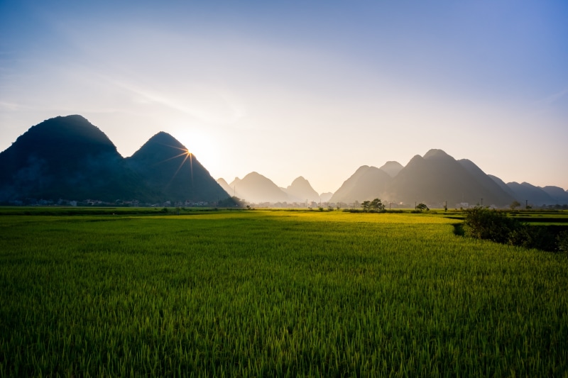guangxi Zhuang Autonomous Region - China, asia, viet nam yen bai, rural scene, no people, bac son lang son, rice - cereal plant, sa pa, agriculture, land