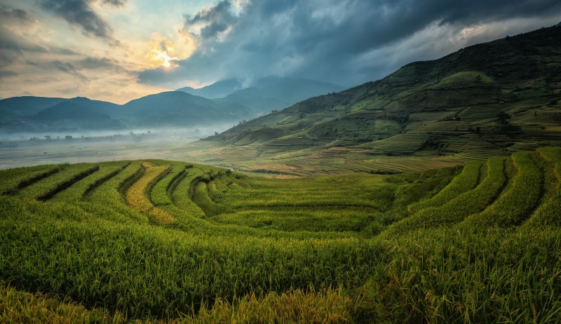 plantation, nature, coarse, asia, soil, tour, cloud - sky, canyons, yellow, china, culture, line, sapa, green, landscape, home, rice - cereal plant, saigon