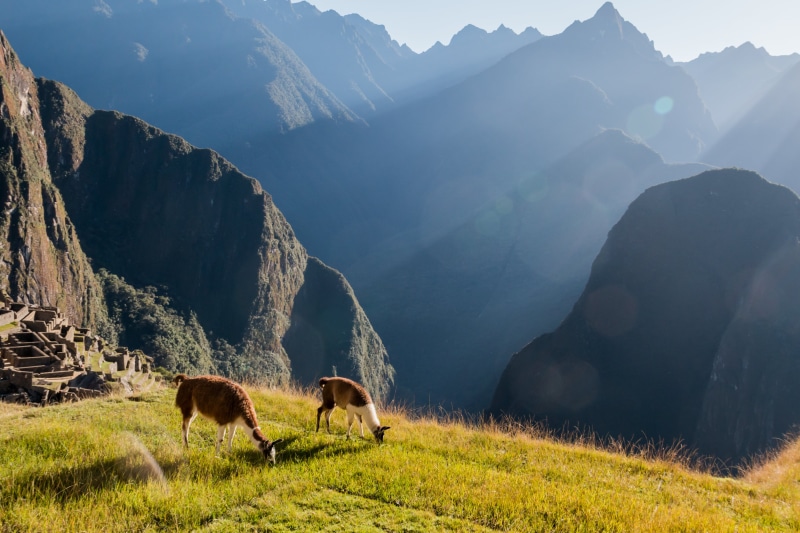 scenics, cusco, rural Scene, green grass, landscape, picchu, machu, green, european Alps, Machu Picchu, mountain, summer, meadow, pasture, outdoors, 4K