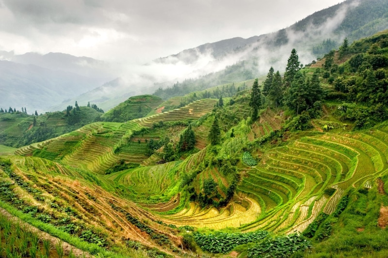 Backpackers, rural Scene, terraces, valley, Longsheng, outdoors, nature ...