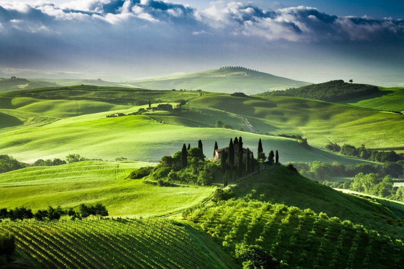 surrounded, landscape photography, awesome, outdoors, italian Cypress, non-Urban Scene, cypress Tree, valley, val dOrcia, aerial, sky, aerial landscape
