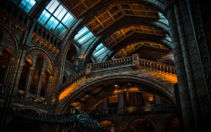 arch, Natural History Museum, built structure, religion, illuminated, 2K, gothic style, low angle view, place of worship, the past, architecture and art