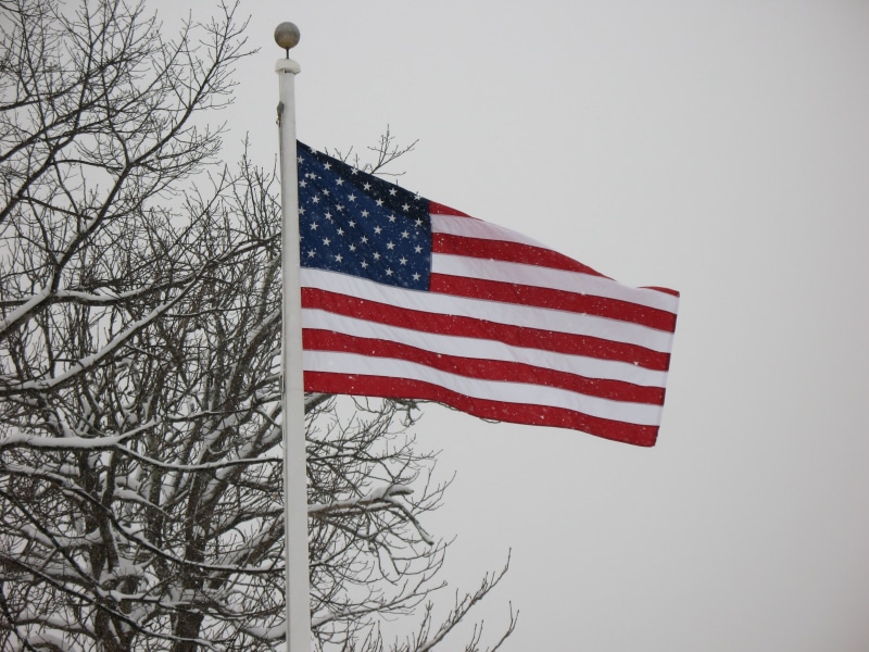 national icon, stars and stripes, independence, close-up, cold, national, nature, branch, clear sky, sky, environment, white, bare tree, 2K, low angle view