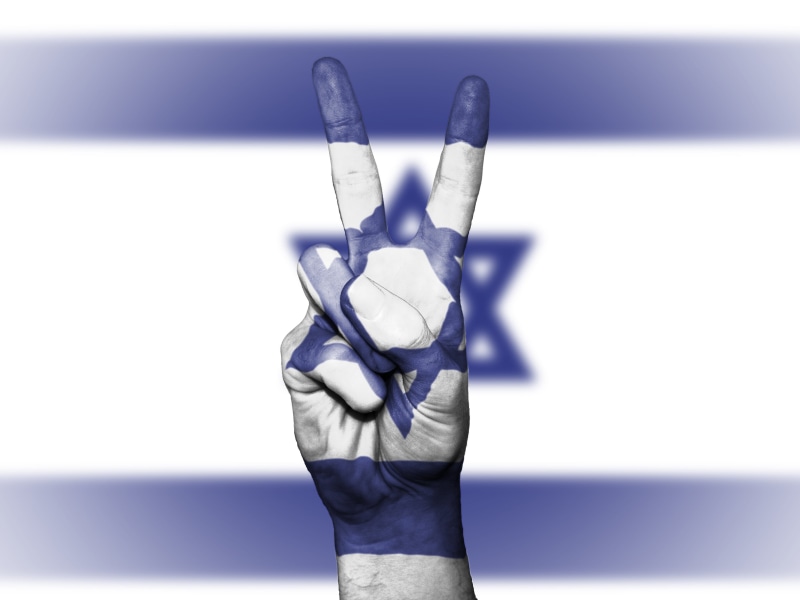 peace, people, white, icon, close-up, man made object, business person, adult, indoors, glove, sign, technology, israel, background, business, colors, showing