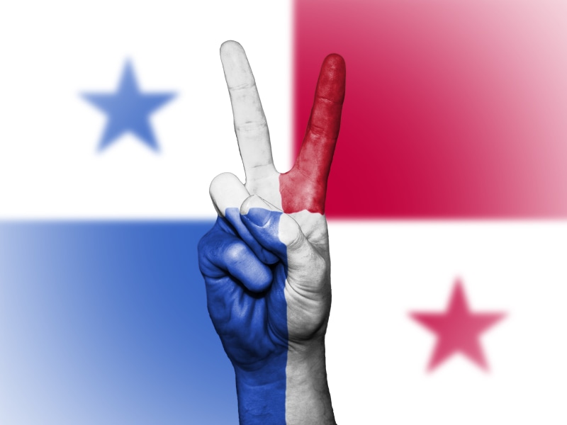 panama, travel, sign, indoors, red, day, focus on foreground, country, human body part, shape, one person, ensign, national, blue, close-up, government