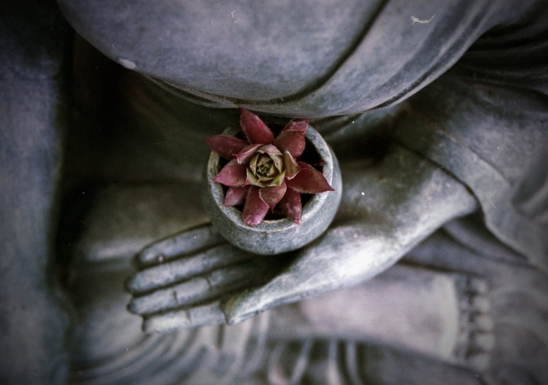 outdoors, one person, plant, symbol, statue, vulnerability, religion, person, hand, sculpture, wellbeing, tranquility, high angle view, nature, religious