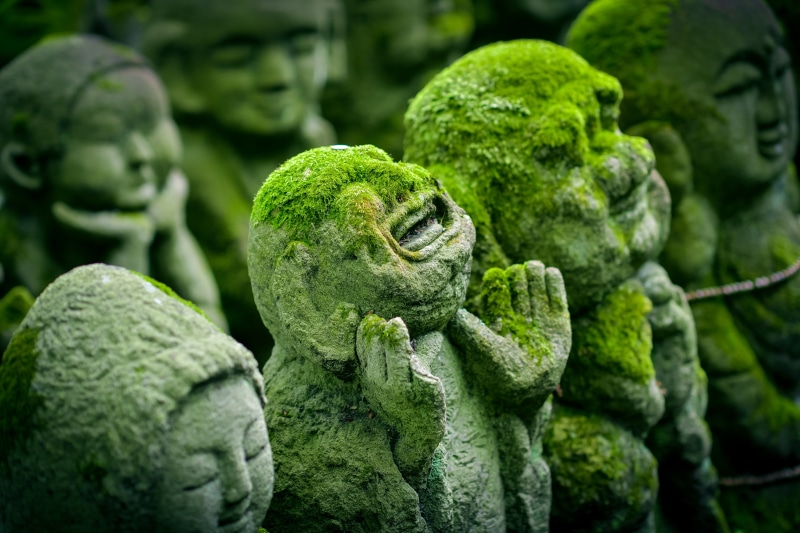 kyoto, japan, focus on foreground, buddha, close-up, zen, jizo, shrine, vegetable, japanese, ancient, no people, human, sculpture, wellbeing, food, full frame
