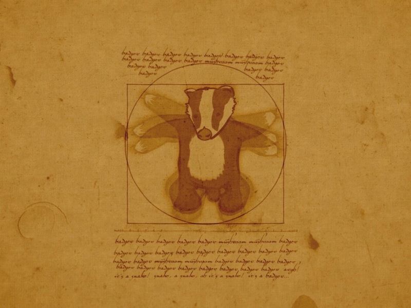 badger, Leonardo da Vinci, 480P