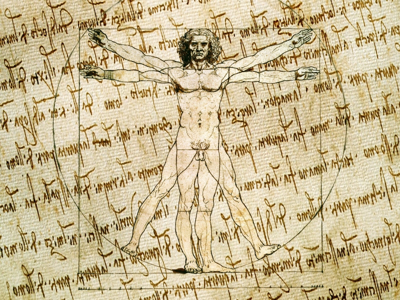 the past, old, science, vector, space, man, the manuscript, vitruvian, dirty, brown, antique, Vitruvian man, travel, backgrounds, textured Effect, cracked