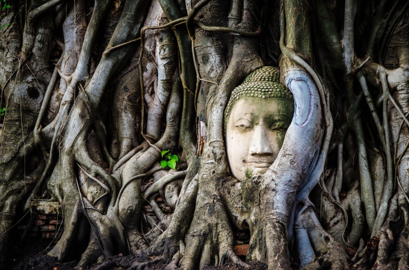 spirituality, culture, thailand, human representation, ancient, color, place of worship, buddhist, china, hand, male likeness, zen, golden, religious, worship