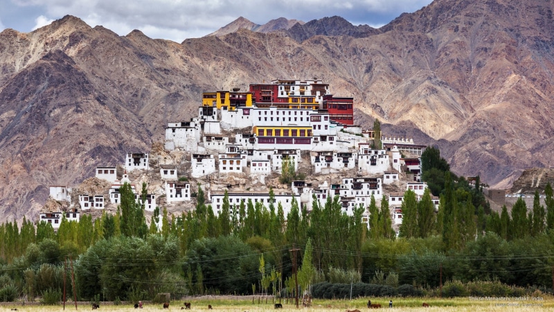 india, thikse, 2K, ladakh, monastery, Asia