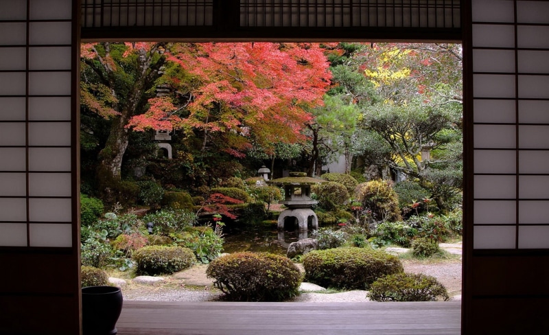 park, window, nature, Asia, building exterior, house, day, architecture, tree, Fall, Japan, Garden, Travel, Traditional, green, no people, water, growth