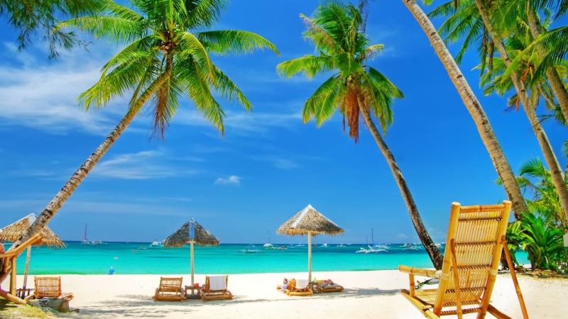 tropics, palm, palms, caribbean, blue sky, vacation, shore, ocean, tourism, sky, resort, beach, leisure, palm tree, 1080P, sea