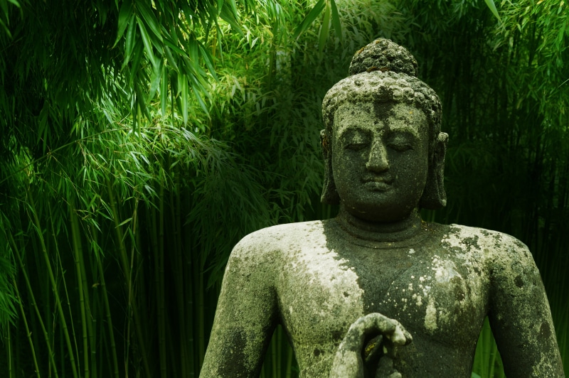 male likeness, day, figure, asia, plant, serenity, statue, spiritual, sit, monk, bamboo, tree, buddha, park - man made space, outdoors, cultures, garden