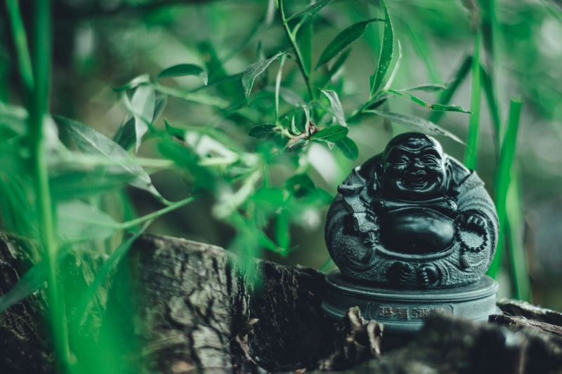 plant, close-up, focus on foreground, animal themes, powerful, far east, symbol, outdoors, close, 4K, leaf, stone figure, metal, laughing buddha, nature