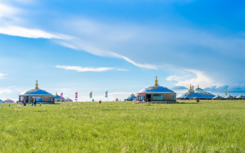 plant, day, grassland, green color, architecture, sky, outdoors, inner, mongolia, environment, land, growth, building, tourism, nature, no people, field