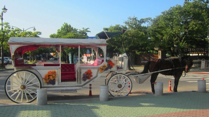 korea, gyeongju, 1080P, carriage, tourism, travel, horse