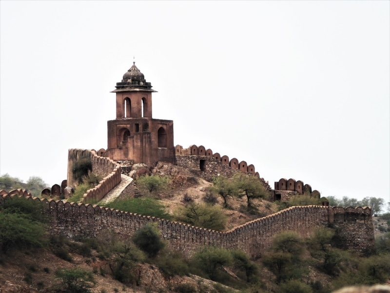 history, building exterior, 4K, architecture, outdoors, amer fort, ancient, stone wall, clear sky, plant, nature, historic, tree, tower, day, sky, the past