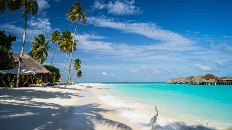 tranquil scene, tropical climate, shore, horizon over water, cloud - sky, holiday, scenics - nature, arabian sea, summer, tourism, idyllic, nature, palm tree