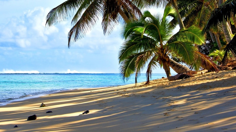 tropics, cloud - sky, beach, coconut palm tree, 1080P, coast, tropical tree, sky, nature, tree, tropical, ocean, beauty in nature, outdoors, arecales