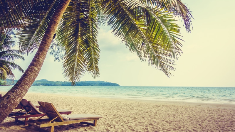 sunlight, tropics, summer, ocean, vacation, sandy beach, tree, palm, beach, 4K, sunbed, water, relaxing, palm tree, sky, shore, relax, sea, arecales