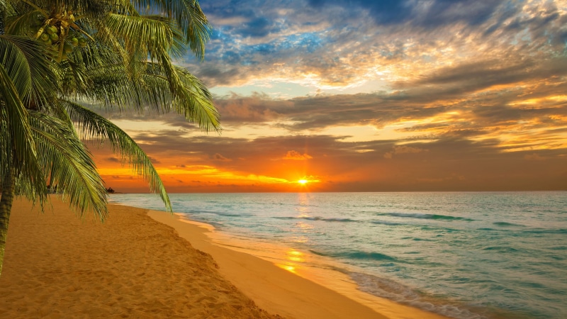 sand, kovalam, sunset, ocean, palm tree, palm, india, sandy beach, asia, kovalam beach, 4K, arecales, sea, shore, tropics, kerala, horizon, evening, beach