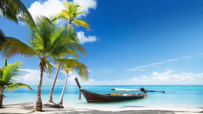 caribbean, ocean, nautical vessel, outdoors, arecales, palm leaf, boat, summer, tourism, tropical climate, turquoise colored, water, no people, tranquil scene