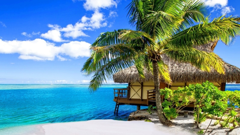 relaxation, 1080P, island, coast, no people, sun, land, day, paradise, palm tree, sand, water, travel, summer, building, nature, coastline, palm, vacation