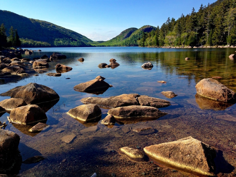 scenics - nature, tree, photos, water, river, Landscape, scenic, pebble, reflection, rock - Object, landscapes, shallow, 2K, acadia national park, tranquil Scene
