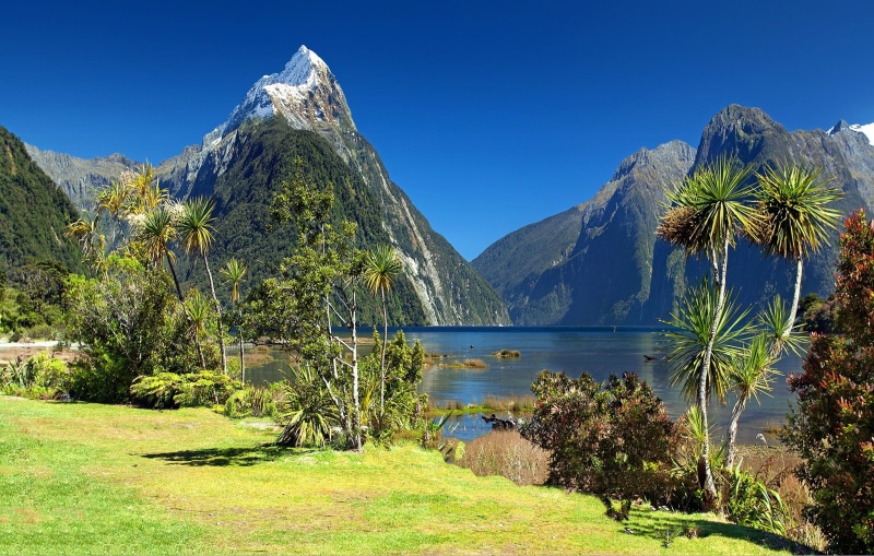 travel, peak, holiday, no people, wonderful places, outdoors, scenics - nature, plant, mountain range, milford sound, new zealand, exotic, tropical climate