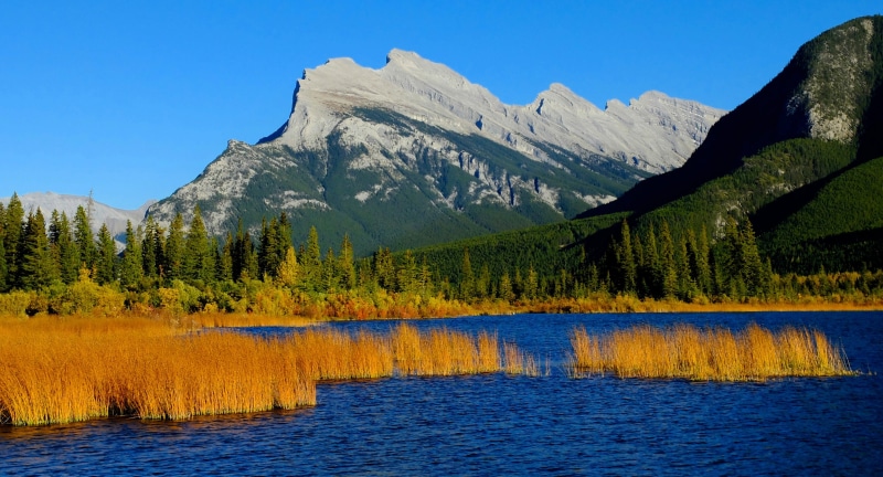 sky, remote, Banff National Park, sunlight, Lakes, scenics, growth, banff, no People, forest, pine tree, summer, Canada, 2K, outdoors, plant, Vermillion