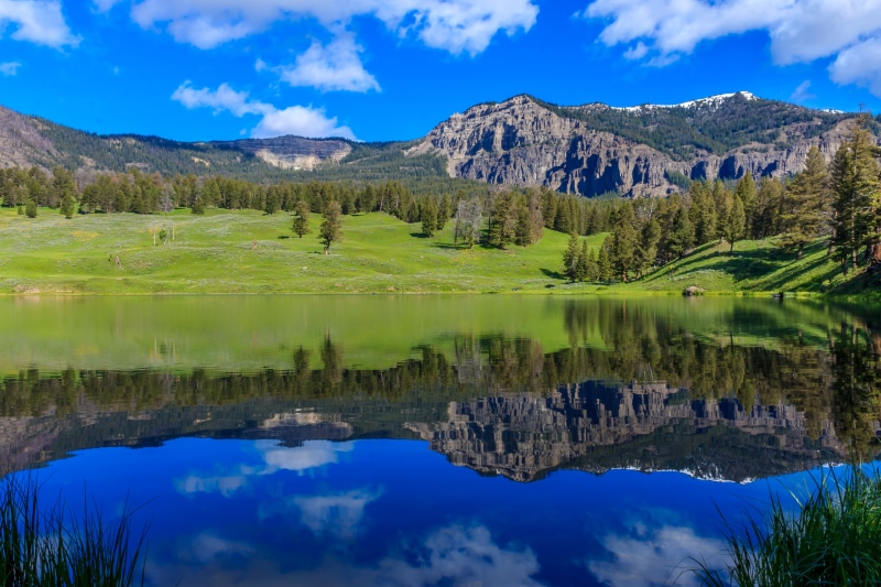 Old Faithful, 4K, sky, nature, forest, landscape, Trout Lake, blue, water, beauty In Nature, green  lake, national, tree, field, grass, summer  day, body of water