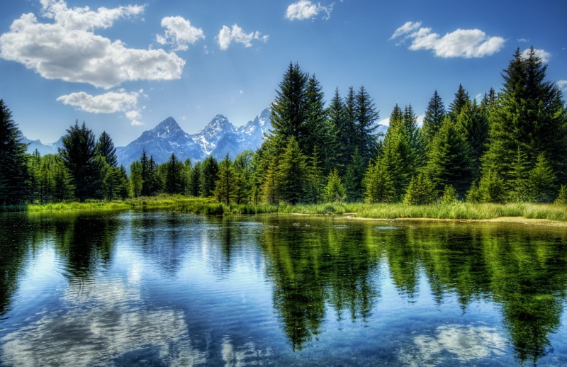 tree, Composition, Shot, mountain, Perspective, romance, beautiful, beauty, Image, reflections, Photographer, dreamy, water, nature, colorful, Edge, tall