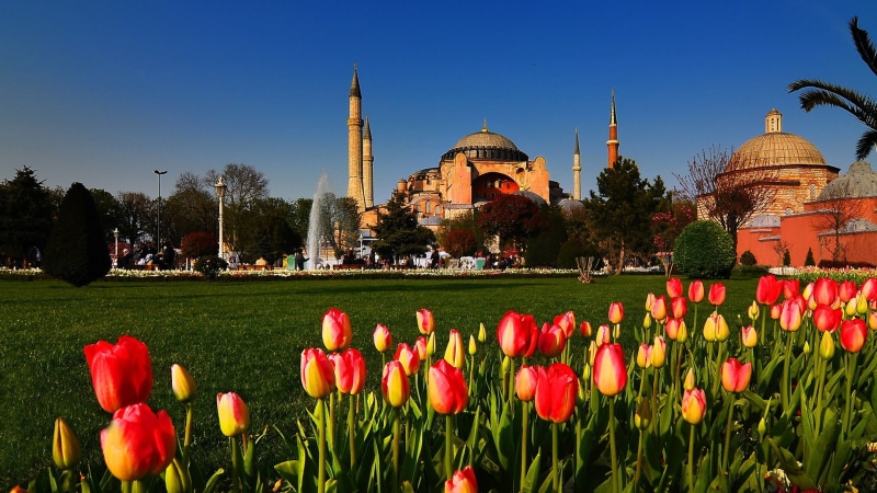 hagia, mosques, 1080P, cities, turkey, tulips, cityscapes, sophia, istanbul, architectural