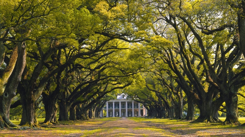 Architecture, 2K, new, louisiana, plantation, oak, orleans