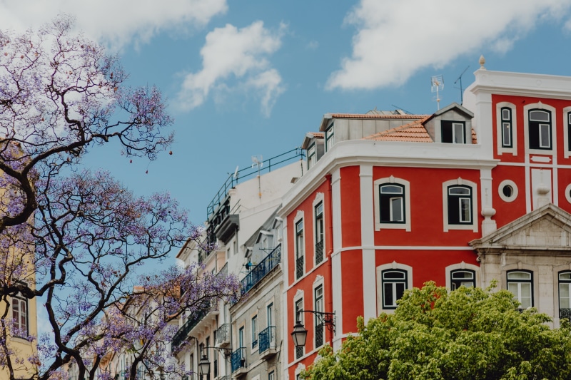 house, tree, growth, residential district, no people, built structure, nature, outdoors, branch, colorful, lisboa, june, buildings, building, building exterior