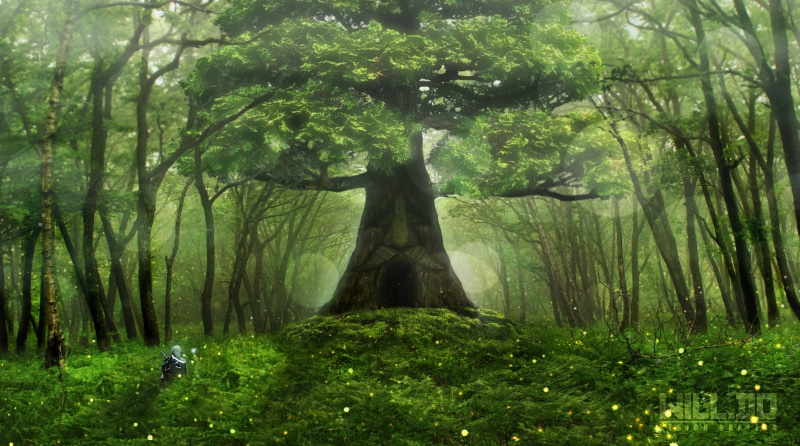 Great Deku Tree, 5K, growth, tree trunk, Nintendo, The Legend of Zelda, Link, land, no people, trees, forest, green color, woodland, nature