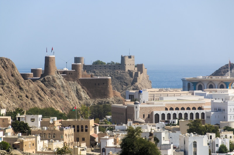 building exterior, history, water, muscat, tree, no people, sultan, day, architecture, residential district, building, nature, city, tower, oman, built structure