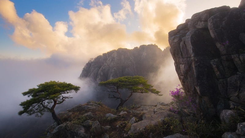 cloud, rock, landscape, morning, misty, cliff, 1080P, cloudy, sky, terrain, mountain, mount scenery, fog, tree, highland