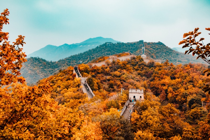 building, great wall of china, environment, nature, autumn collection, mountain, scenics - nature, wall, china, great, day, 5K, travel destinations, plant