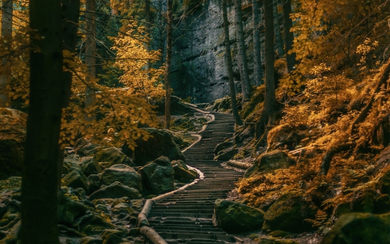 change, Germany, tree, woodland, leafed, footpath, yellow, autumn, hills, leaf, scenics, landscape, environment, non-Urban Scene, stairs, brown, stream