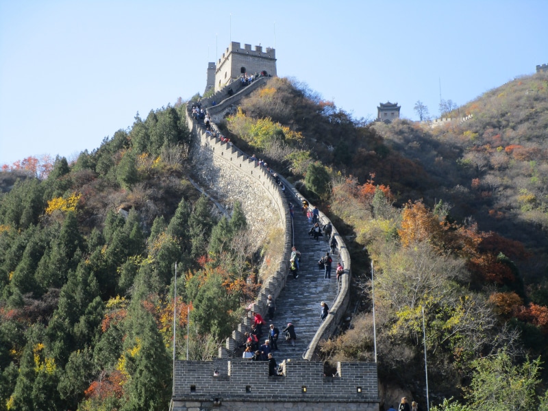 ancient, the past, plant, history, real people, historic, nature, growth, built structure, high angle view, change, beijing, traveling, great wall, china